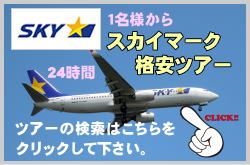 スカイマークツアーの格安予約について